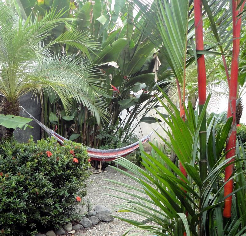 Cabinas Tropicales Puerto Jiménez Exterior foto