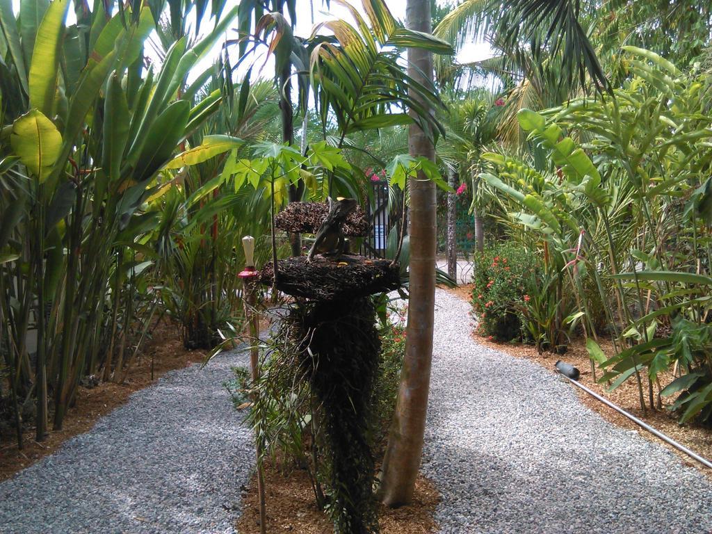 Cabinas Tropicales Puerto Jiménez Habitación foto